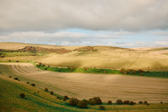 Rolling hills in the South Downs at sunset with patchy clouds, England, UK