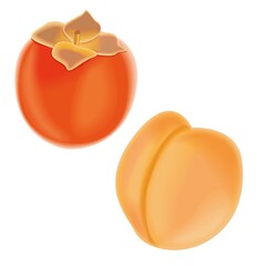 persimmon and apricot