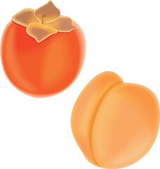 persimmon and apricot