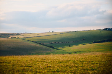 Obraz premium Rolling hills landscape with a field of wheat and sky with clouds
