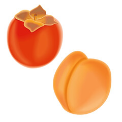 persimmon and apricot