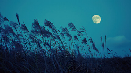 vue d'un bosquet de roseau à contre jour le soir avec pleine lune
