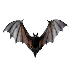 Bat Flying with Wings Spread, PNG Isolated on Transparent Background