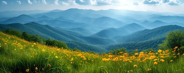 A view of the Bieszczady mountains in spring, capturing the vibrant awakening of nature and the scenic beauty of the lush green landscape - obrazy, fototapety, plakaty
