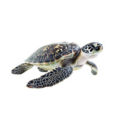 Obraz premium Sea Turtle Swimming Isolated on Transparent Background, PNG