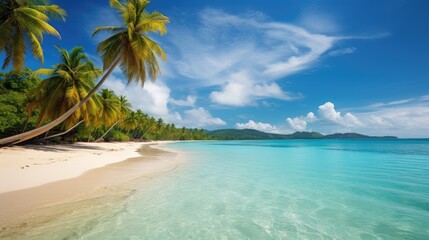 Beautiful beach with palm trees and turquoise sea on a bright sunny day.