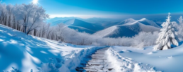 A view of the Bieszczady mountains in winter during the afternoon hours, captured from a hiking trail, showcasing the serene snow-covered landscape and the beauty of the natural surroundings © Tomasz