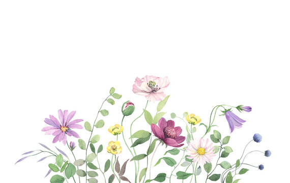 Wildflowers and green wild plants, floral background with colored flowers, watercolor isolated illustration, floral horizontal border, hand painting wild meadow.
