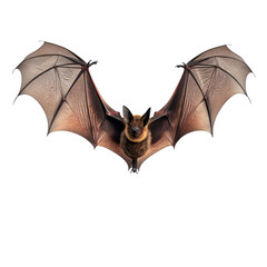 Bat Flying with Wings Spread, PNG Isolated on Transparent Background