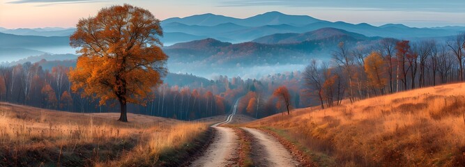 A view of the Bieszczady mountains in autumn, showcasing the spectacular display of fall colors and the serene beauty of the mountainous landscape. © Tomasz