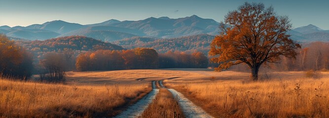 A view of the Bieszczady mountains in autumn, showcasing the spectacular display of fall colors and the serene beauty of the mountainous landscape.