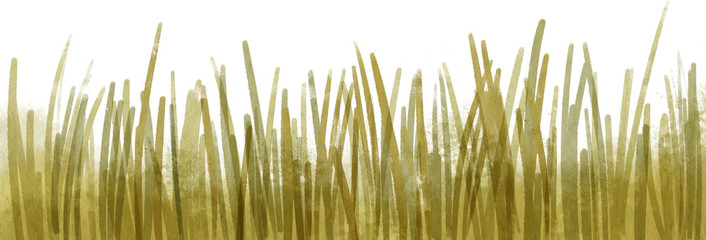 Watercolor green grass. PNG transparent digitally hand painted illustration