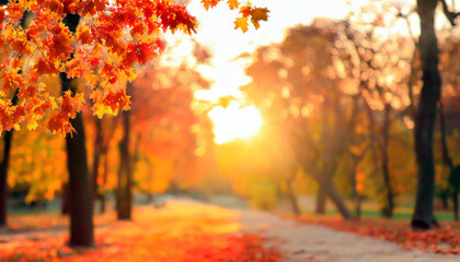Autumn Landscape with Backlighting