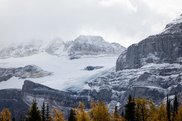 A Snowy Fall Day near Moraine Lake in Banff National Park, Canada