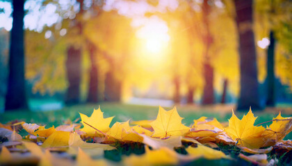 Autumn Landscape with Backlighting