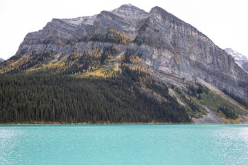 Golden Larch Trees at Lake Louise in Banff National Park, Canada