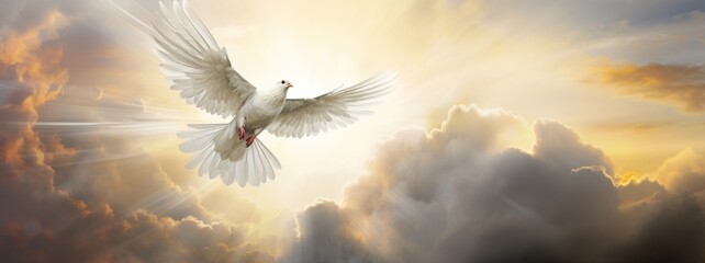 a white dove flying over the sun in a cloudy sky, in the religious style - obrazy, fototapety, plakaty