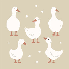 Geese in different poses. Poultry character. Cute white wild geese. Set of different domesticated geese