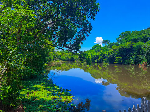 S&atilde;o Paulo,SP, Brazil - Jan 7, 2024. Lake that is close to the entrance to the Eug&ecirc;nio Walter Ecological Park located in Boituva.