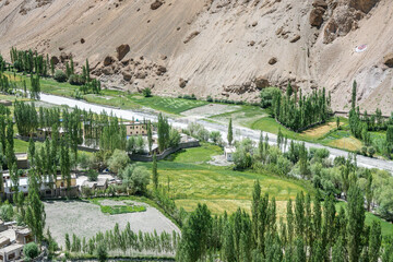 Agricultural fields of the Himalayas, Ladakh, Little Tibet