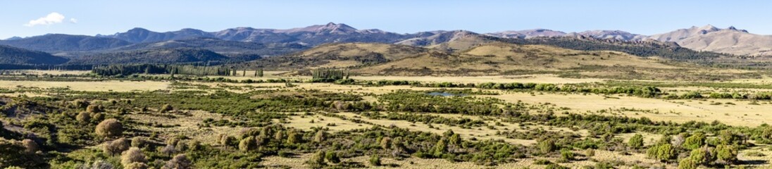 Transición Bosque y Estepa - Ruta 40 (Neuquén, Argentina)