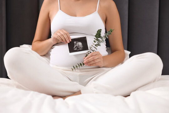 Pregnant woman with ultrasound picture of baby and plant twig on bed, closeup