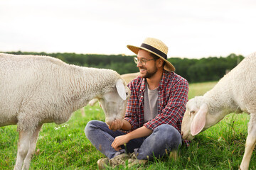 Smiling man feeding sheep on pasture at farm © New Africa