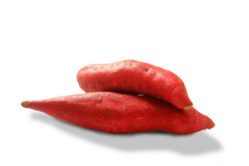  red purple sweet potato root Ipomoea batatas also known in india as shakkarkand,shakkariya for indian sweet sheera halwa for hindu religion related fasting  food,cutout transparent background,png 