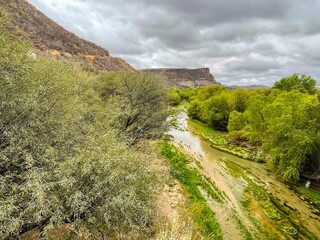 Green landscape of the Sonora River in the El Gavilan property, municipality of Ures Sonora Mexico.