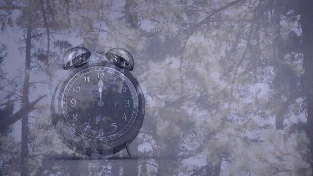Animation of clock ringing over fir tree forest