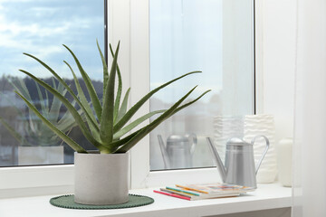 Beautiful potted aloe vera plant, watering can and magazines on windowsill indoors