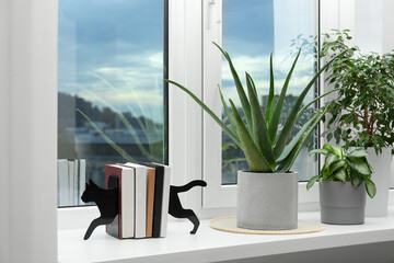 Beautiful potted aloe vera, other plants and books on windowsill indoors