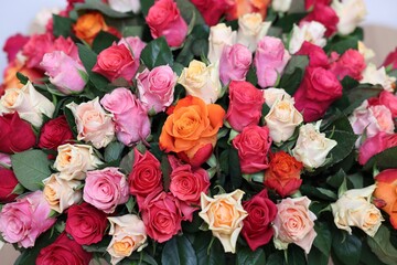 Bouquet of beautiful roses on light background