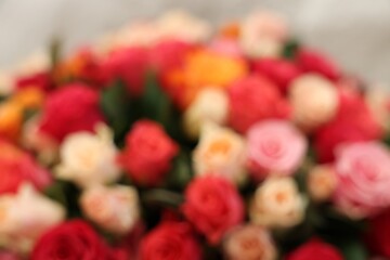 Bouquet of beautiful colorful roses, blurred view