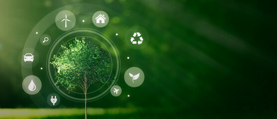 Eco symbols around green tree. Ecology concept