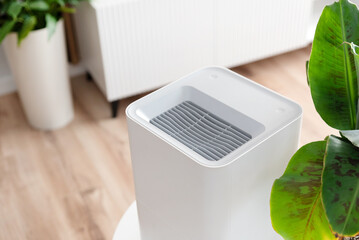 Modern air humidifier in living room