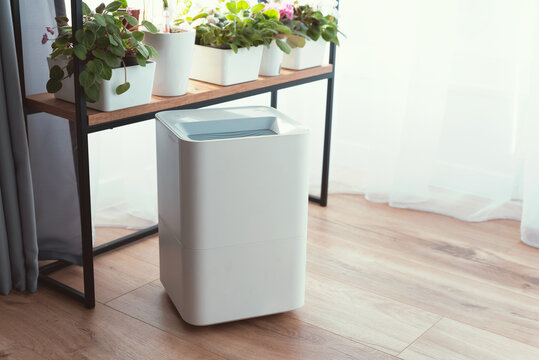 Modern air humidifier in living room