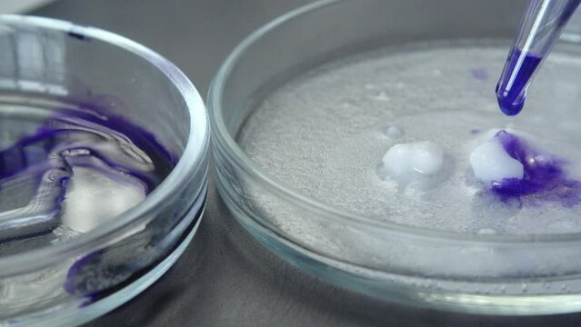 School Laboratory. Scientific project. Investigation of the dissolution of a substance using a liquid with a catalyst. Observing the reaction