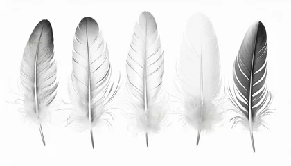 Raamstickers Veren beautiful collection sketching white feather isolated on white background