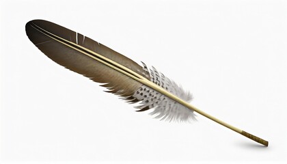 falcon feather isolated on white background