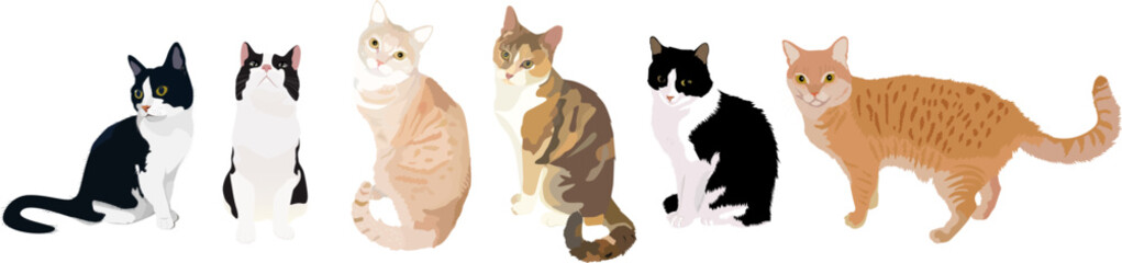 Collection of domestic cats of different breeds. Pets. Vector illustration.