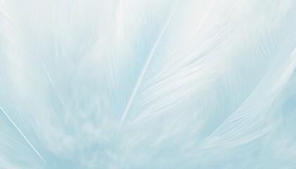 beautiful white baby blue colors pastel tone feather pattern texture cool background for decorative design wallpaper and other