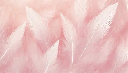 Foto op Aluminium beautiful light pink feather pattern texture background © Irene