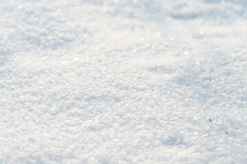 Obraz premium Snowy field. Winter background. Space for design and product