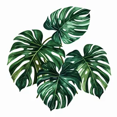 Zelfklevend Fotobehang Monstera Tropical Elegance: Exotic Leaves Against a Clean White Background - Generative AI