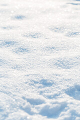 Fototapeta na wymiar Snowy field on a sunny day. Winter and frost