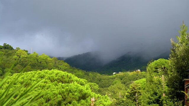 Fog in the Mountains