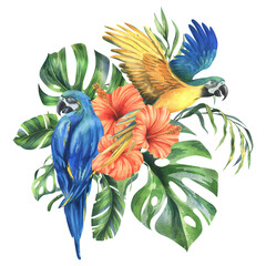 Tropical palm leaves, monstera and flowers of plumeria, hibiscus, bright juicy with blue-yellow macaw parrot. Hand drawn watercolor botanical illustration. Composition isolated from the background. © NATASHA-CHU