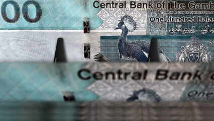 Gambia dalasi money banknotes pack 3d illustration