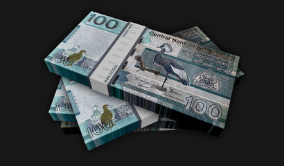 Gambia dalasi money banknotes pack 3d illustration
